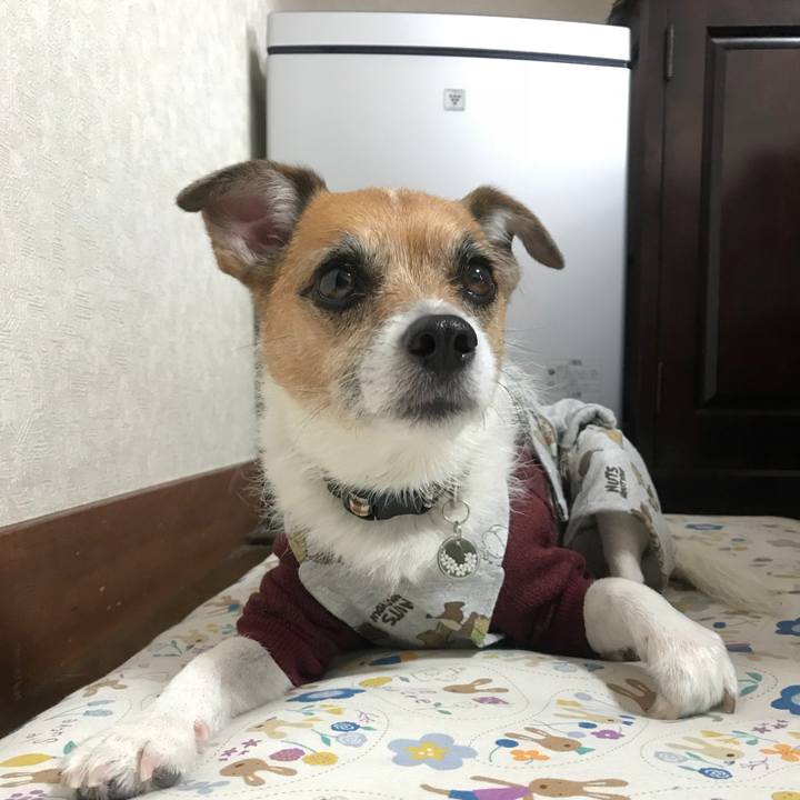 94c86c58 3cc8 4631 ac84 619b49ca42f5 1517788428422