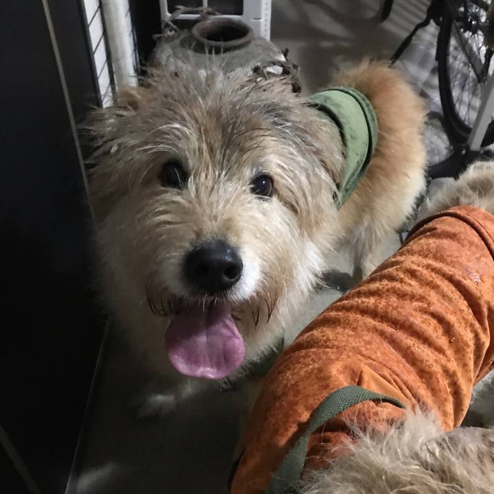 94c8975c 3396 452b a19c 2e6abeec9782 1616328112637