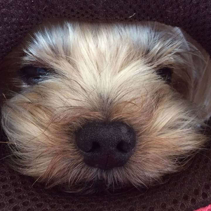 94c897a8 545f 4452 b2e3 e7c97f190e0b 1524121027010