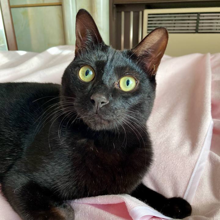 94c90c26 c5c7 488d 8801 dc914397f8ef 1670481294222