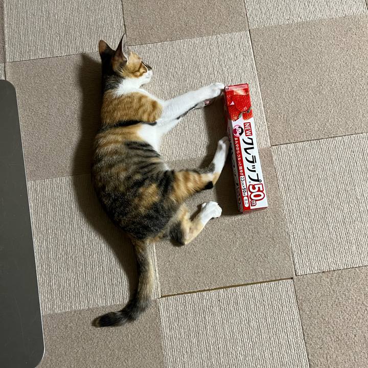 94c93ef3 2c38 48ad 9eb9 13b21c042ee5 1656420977838