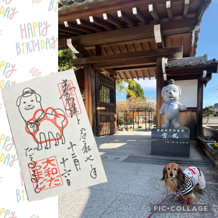 94c95d81 f9bf 4780 8609 4c0f1ad50374 1765871318613