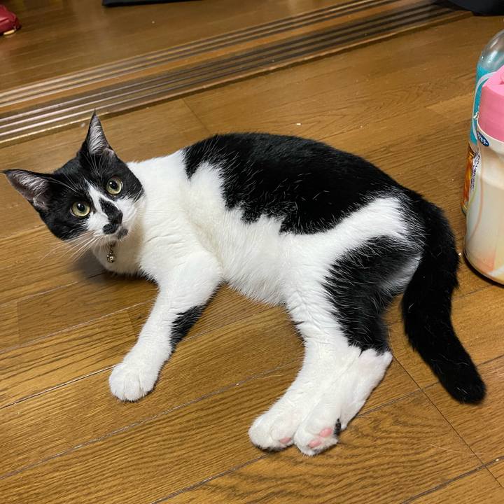 94c99e67 7598 493f a44f b6fda895b1f5 1752983323129