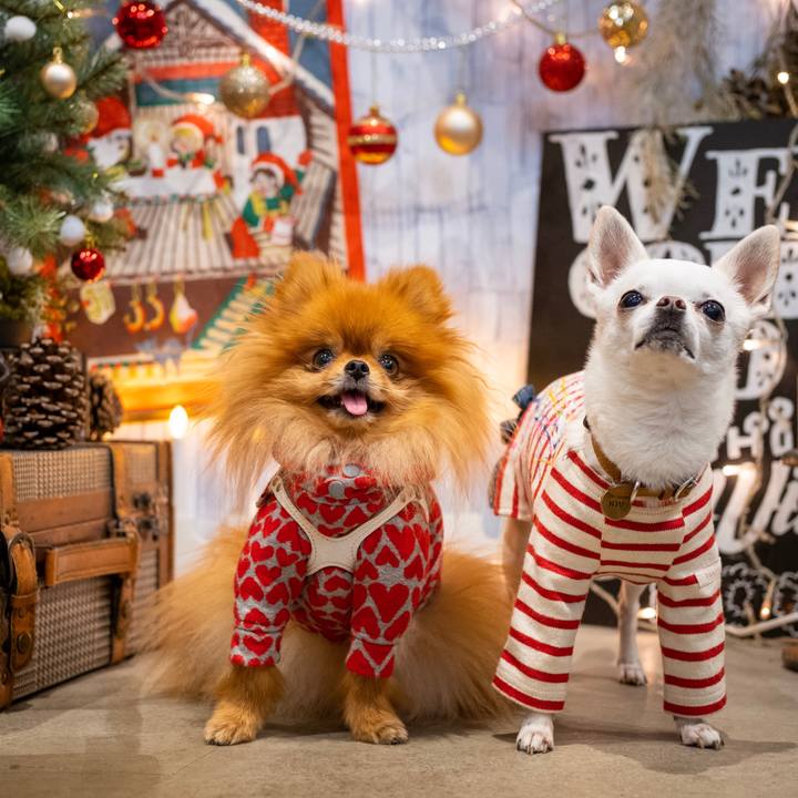 94ca01ec 45e2 49e5 8b96 6c58aac05899 1575933076353