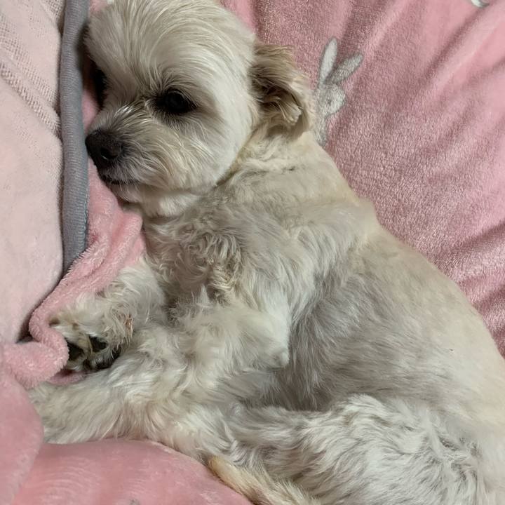 94ca1797 4123 497e b887 9edf40adc0e8 1614683671709