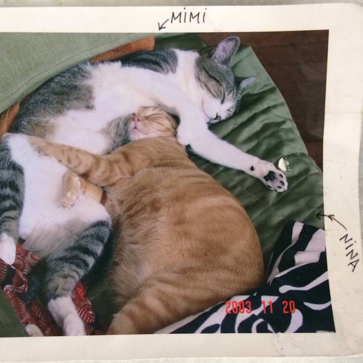 94ca5ced 329d 4c7e 9211 30843403ab70 1546094980975