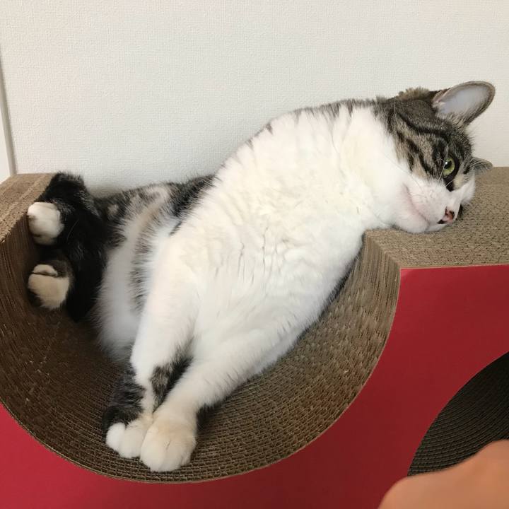 94ca743d f951 43af ae01 a39447f50f15 1537576823803