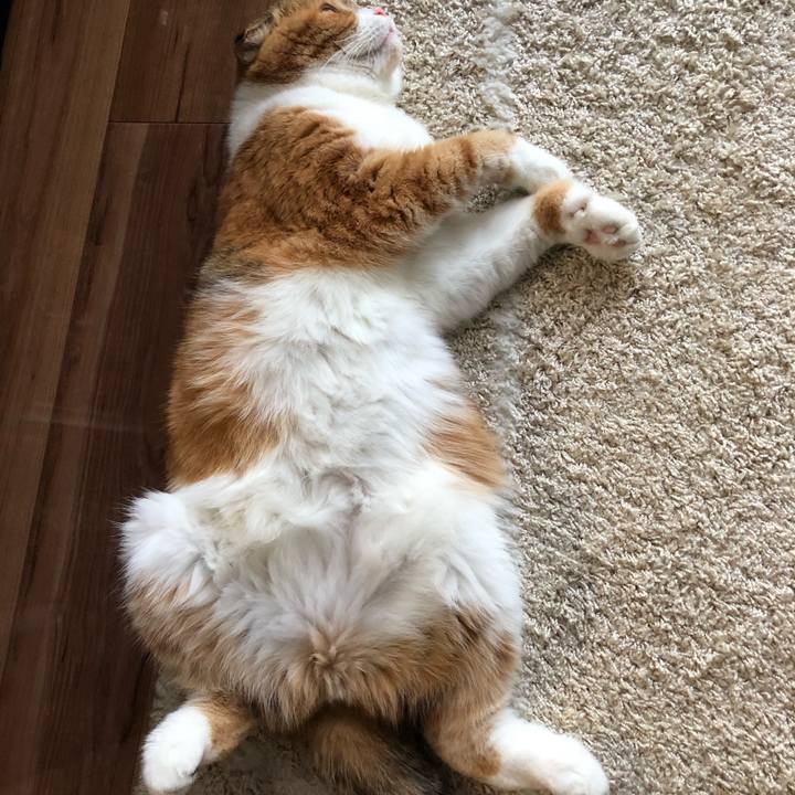 94cad3e5 37e9 4784 807b 9527bd8dbcd3 1598671848407