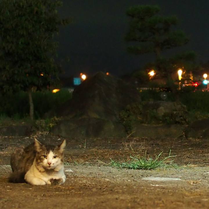 94cae08d e0b0 4636 b2e4 1ee73c81e18b 1535377773601