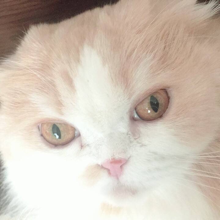 94caecf1 8e63 4d19 8a0f 57019fa6e20a 1586683570631