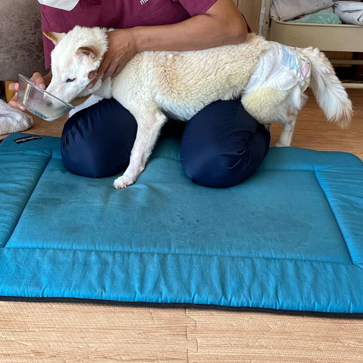 94cb1022 cde3 47c6 b0df ee2d199d7b10 1663678292092