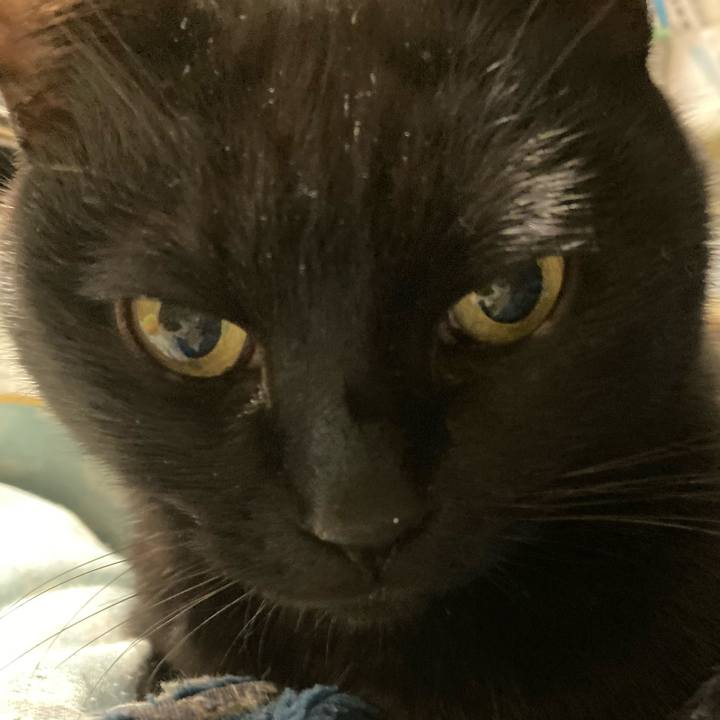 94cb687d 3971 4843 98c1 c3932b183e18 1738410307068