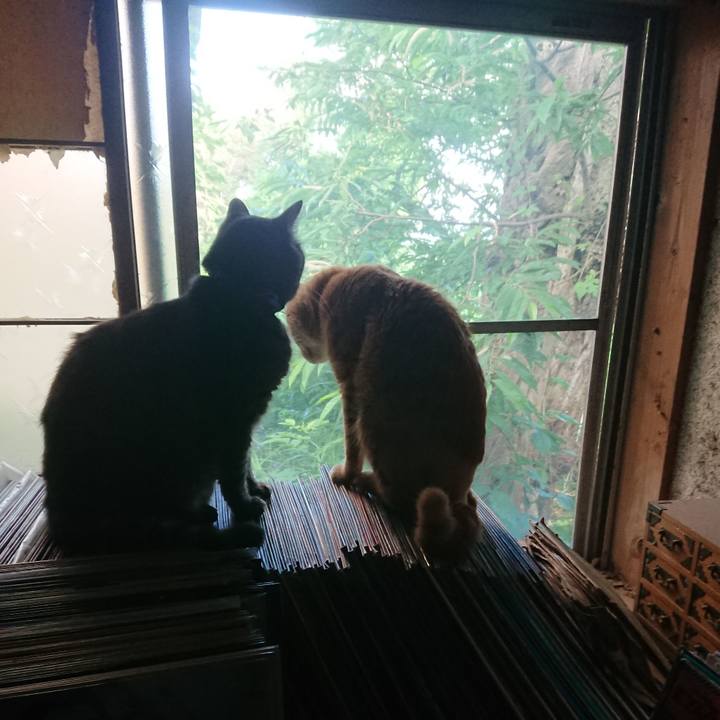 94cbb2f4 4f0c 4737 be28 772cb6c7bc4e 1656625658990