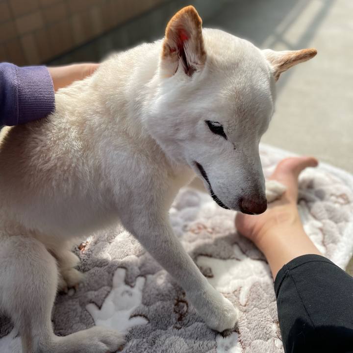 94cbc308 43e8 4580 9fd6 b583538e03c5 1646998237534