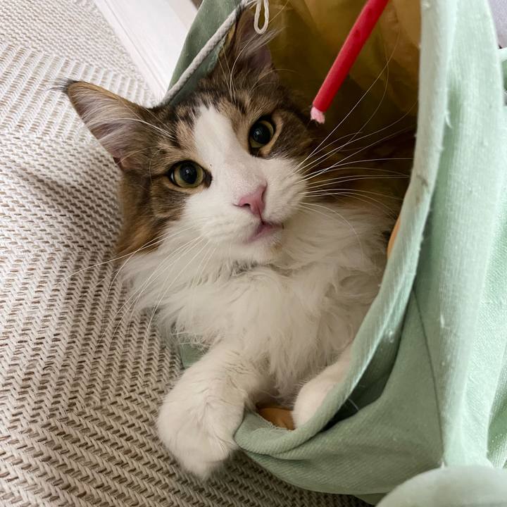 94cbc683 0089 4585 8a0a 5ce170789bbd 1667599258485