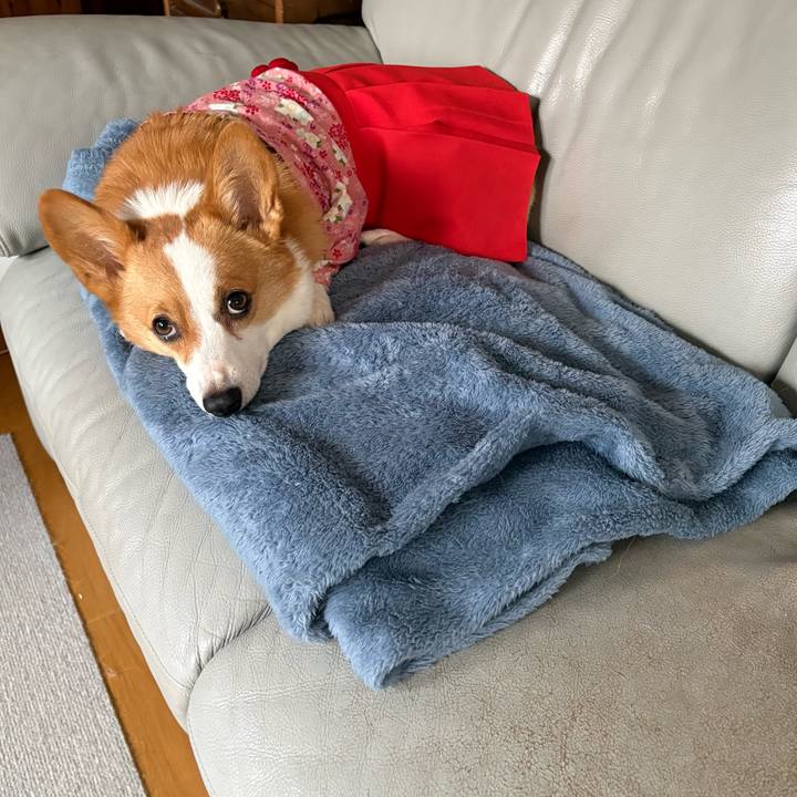 94cbcdf2 9f13 4c04 ba03 c9597d0a6425 1772500783608