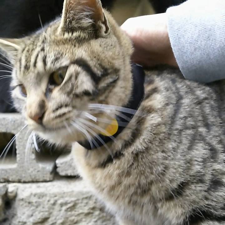 94cbd76b 0d27 417f 8c39 be971e0fd0bc 1556007974145