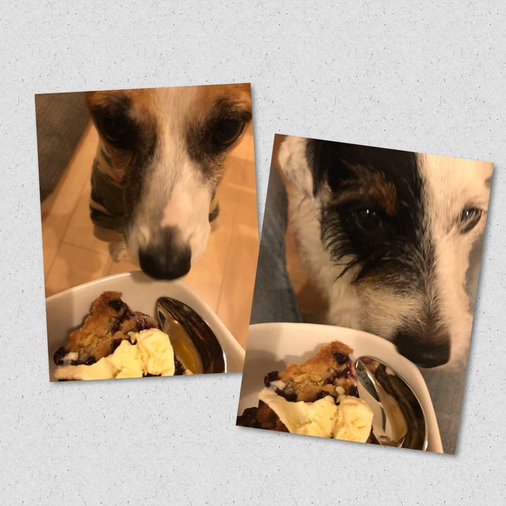 94cc0a48 006e 4ed2 8096 8ec18f46502f 1535199264737