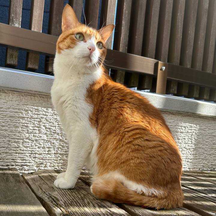 94cc3427 be1c 4d10 b2e0 aa3c09e2a2d8 1764388805947