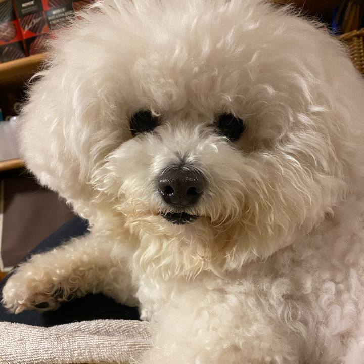 94cc3449 676f 4747 be31 371704143963 1644137139109