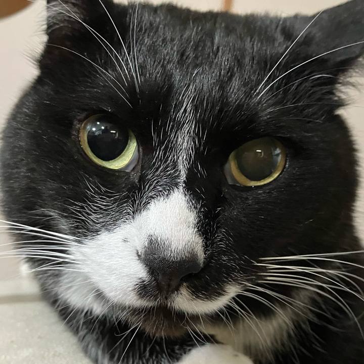 94cc5e1a e312 4973 9a39 9894529b3a75 1685763797355