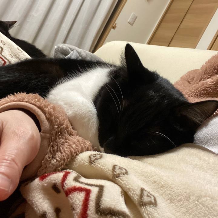 94cc6dc6 03a6 4e14 9d1b 37563c310ba9 1643989266325