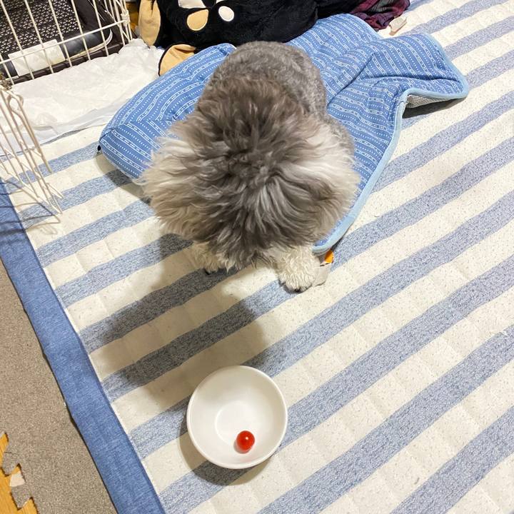 94cc940f 32fe 49cf 8bbc 03c0aa04c8c7 1592488623410