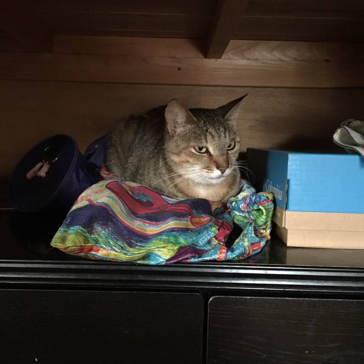 94cc9f4a af28 49c5 98b3 a369d4e7fff1 1532122445419