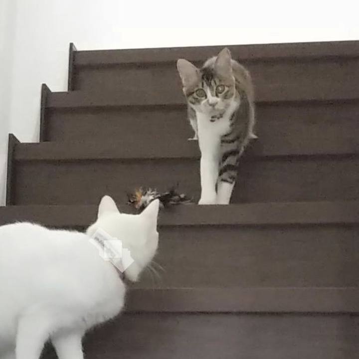 94cca9e6 8160 40ca b1c5 b83aad60aec4 1637028863410