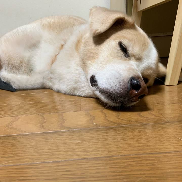 94ccab57 0a94 49a7 b631 cce38fab253a 1598627456283