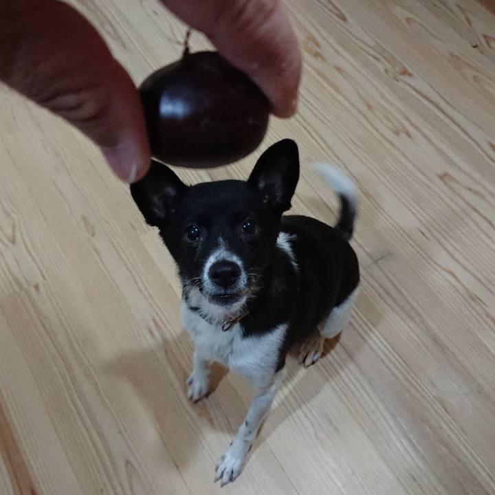 94cd1c25 d83b 4992 a2be e36b9f0178ee 1570543315644