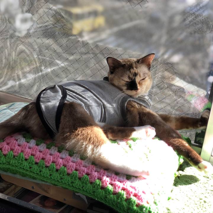 94cd22fb e01c 4de1 b066 c70e34ab4b0d 1666709730304