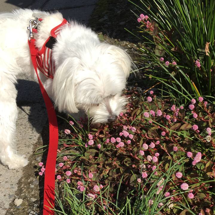 94cd2d39 b125 4857 9e41 e24bd6fec09b 1540430564011