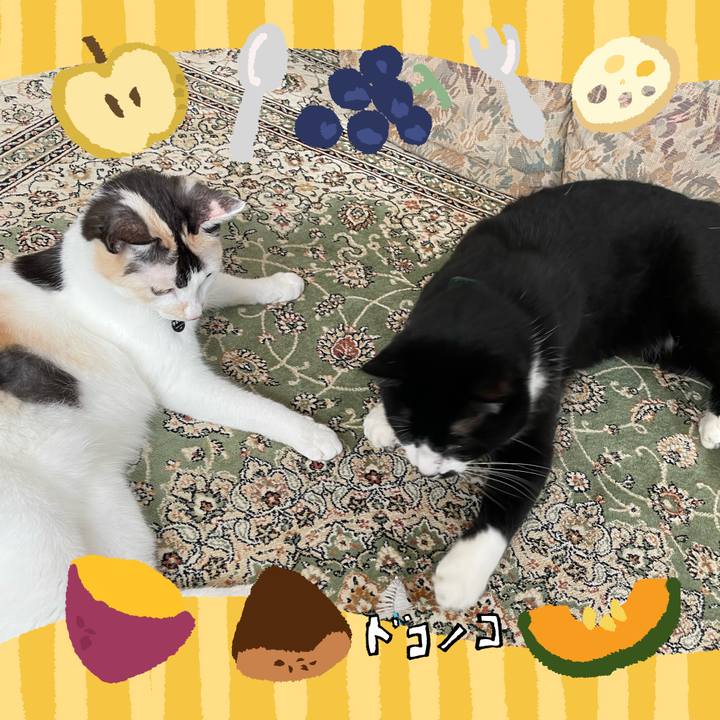 94cd3030 e905 4849 a6cc bd0411d27f00 1726809195382