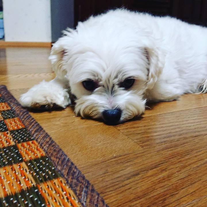 94cd30e0 6fcd 4cef 8b9f b1808fa46029 1532345333970