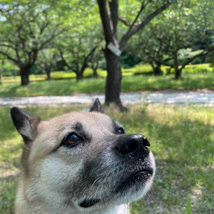 94cd4df2 1d6c 4b32 b5b8 87f54c5b6840 1716725973243