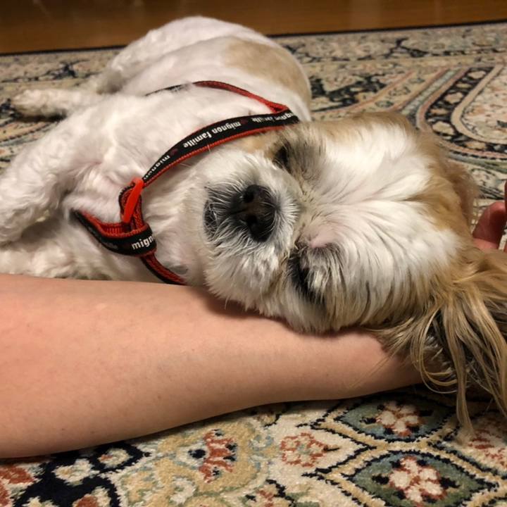 94cd4f3e e8a8 4742 a044 e2bee85f7802 1558388936995