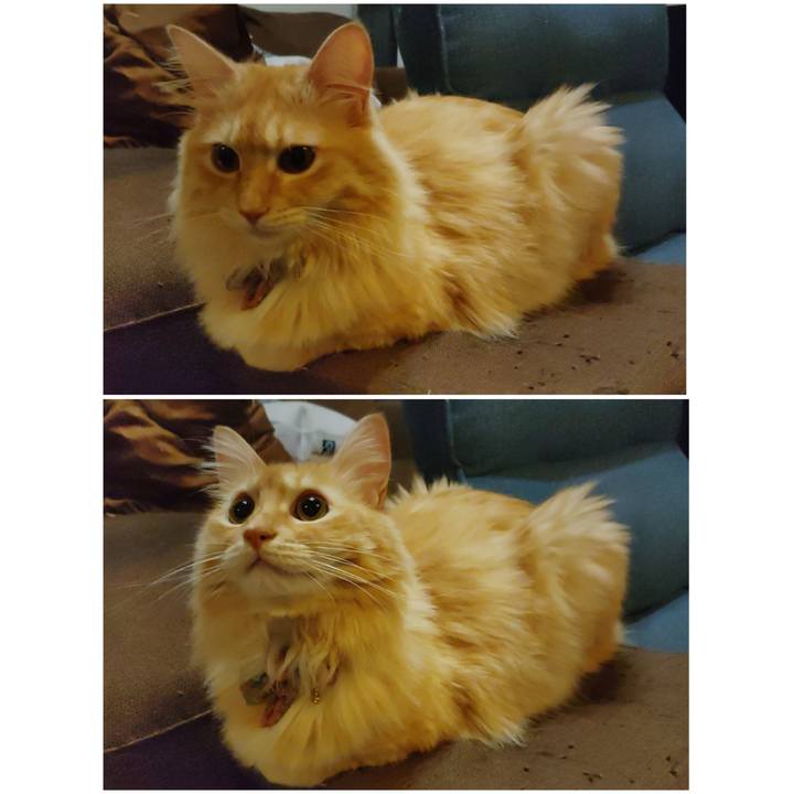 94cd5bb3 b49d 4fda b3cf 5560a3041fde 1660654433406