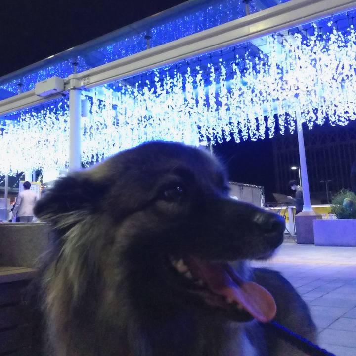 94cd922f 673d 4e87 90a6 291a22ddc558 1760093613116