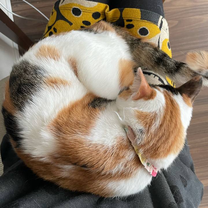 94ce4f39 5478 42ec b32c a251bdd0e66d 1648350429219