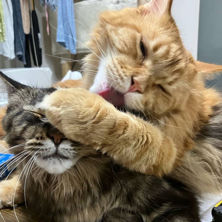 94ce59d4 7fb0 4b21 815f 912a4416a298 1767707476378