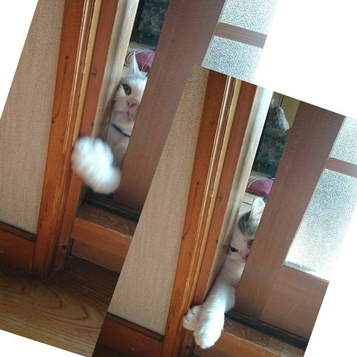 94ce5f8d a03a 4fbe be56 38b19b62ac97 1541982430362