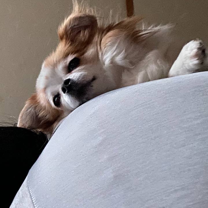 94cea1aa 9a87 408e ae02 d885f66c7f70 1597319284156