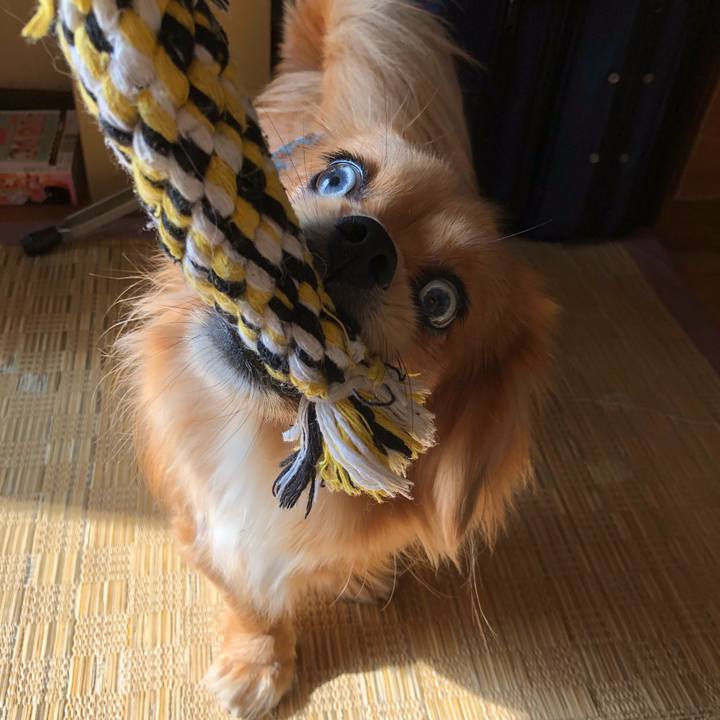 94cec64b 4d8e 417d b07d 4fe4bcae42ce 1519515800828