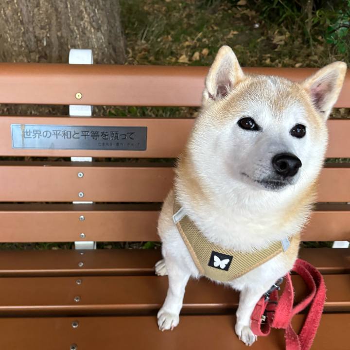 94cec691 572c 461c 80e3 ab42b893ff9a 1740349668180