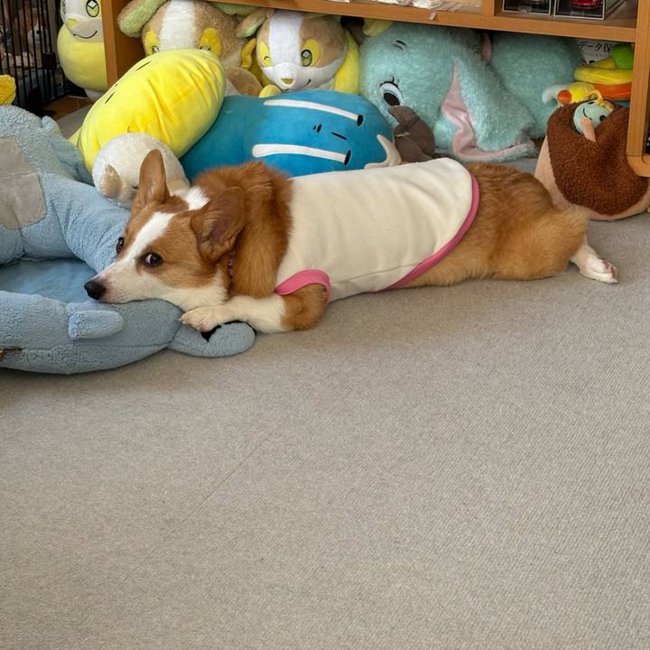 94ceccee 4fde 46ab 8783 bb8c0bcb20ca 1772238490501