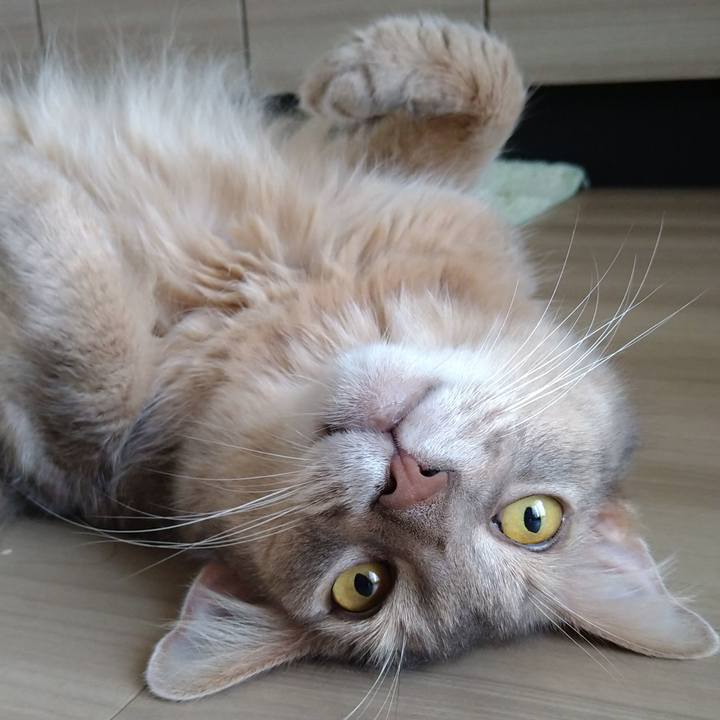 94cedc00 5233 45f3 ba7a 71982c8eace8 1626934597337