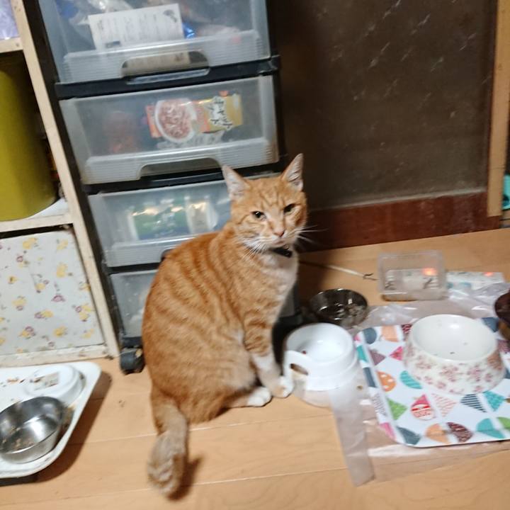 94cee1cf dc3d 4161 b861 20c460557415 1597867255240