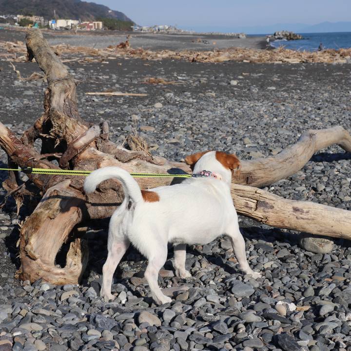 94cef3e7 1662 420f 8bd5 cd61917d6a59 1542435608183