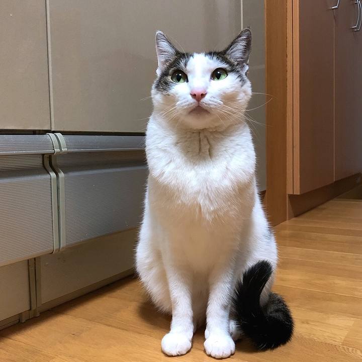 94cf07a4 a793 46b5 a525 dc0ed68a4b1c 1674477261963